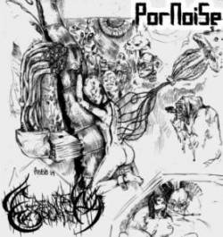Genital Orgasm : Pornoise - Genital Orgasm